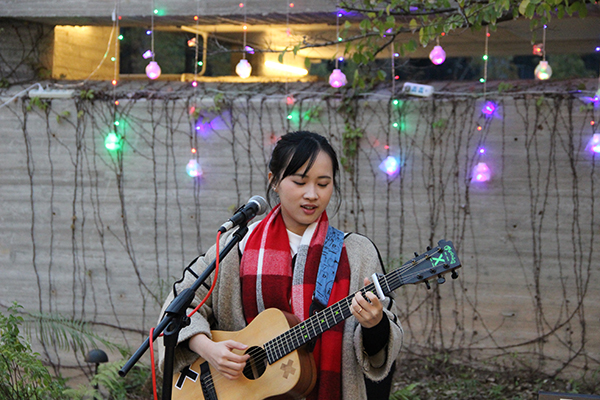太阳能路灯，太阳能路灯厂家，太阳能路灯价格