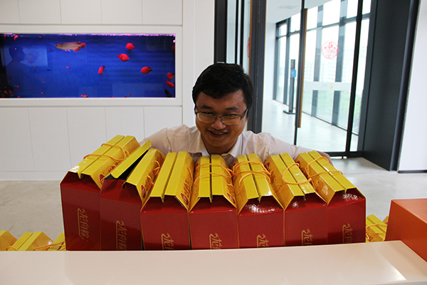 太阳能路灯，太阳能路灯厂家，太阳能路灯价格