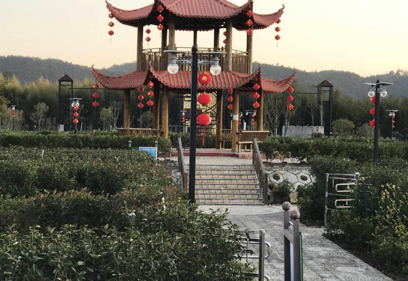 福建太阳能路灯-月光灯工程